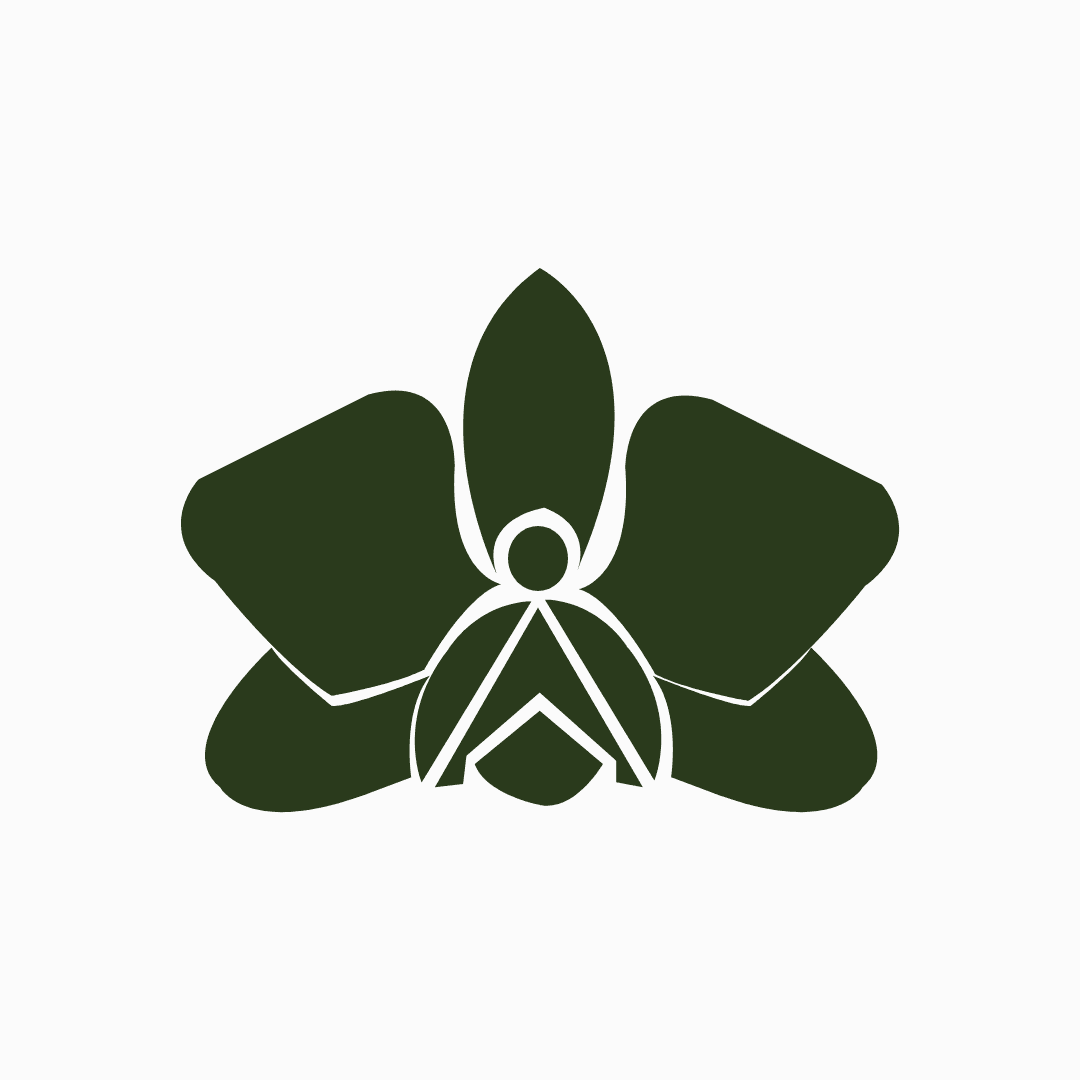 Logo Dra. Valquiria Pelafsky